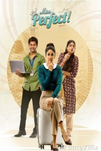 Miss Perfect (2024) Season 1 Hindi Complete Web Series
